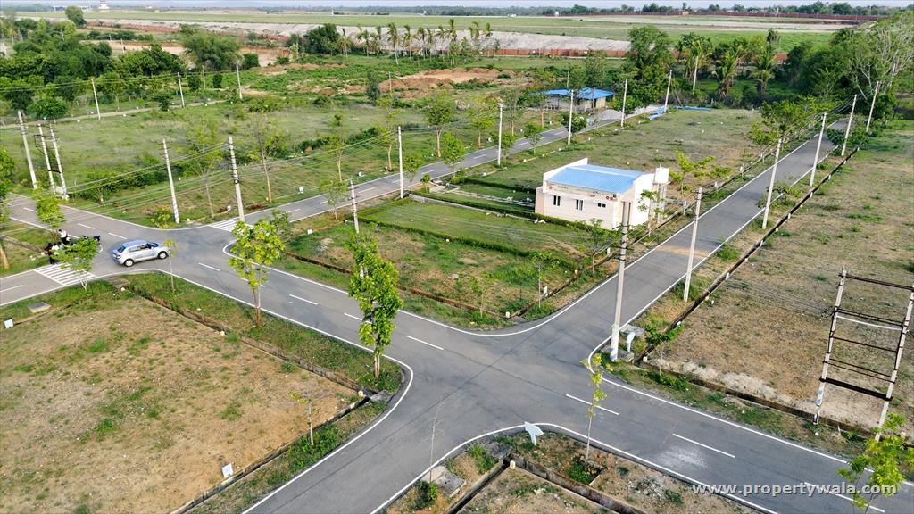 Road View