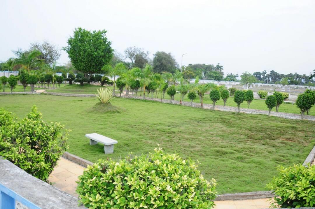 Layout Photos