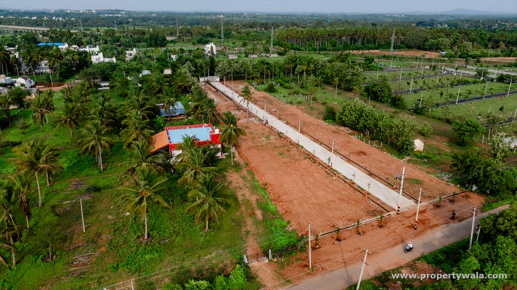 Plot View