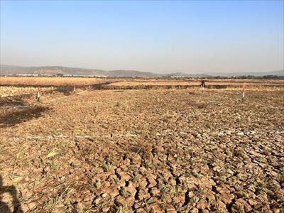 Residential Land for sale in Palaspa, Navi Mumbai