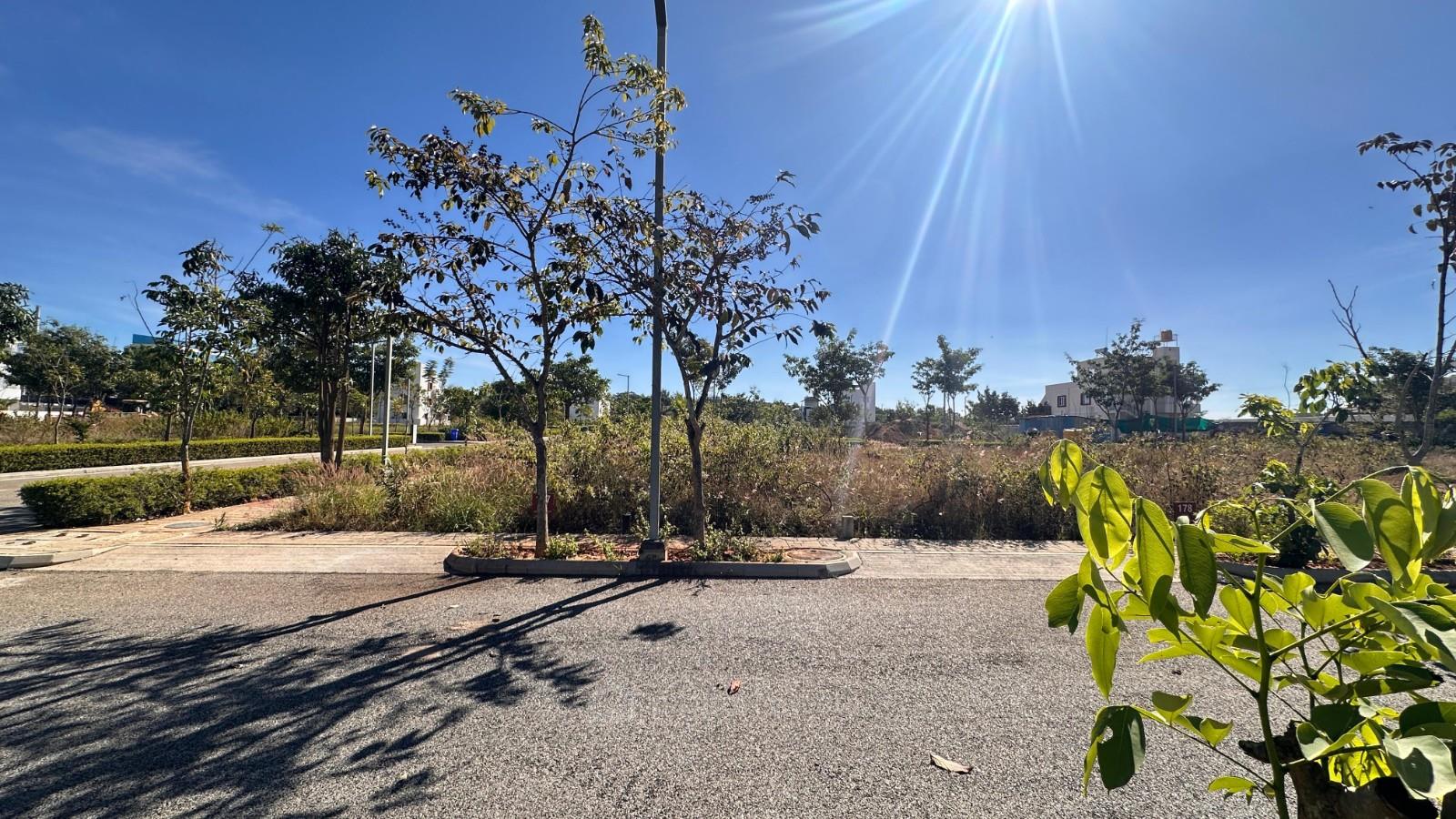 inside the community