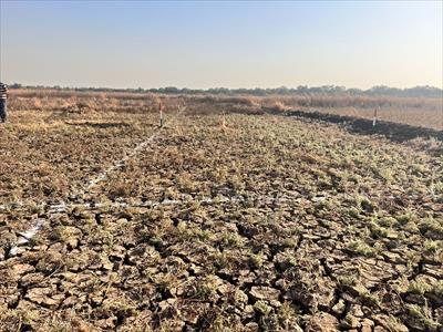 Residential Land for sale in Chirle, Navi Mumbai