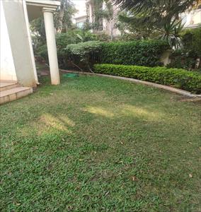4 Bedroom Independent House for rent in Undri, Pune