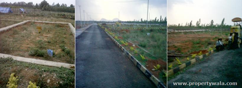 Road View
