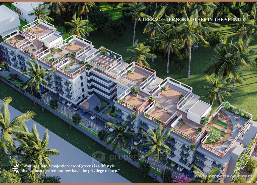 Project - Aerial View