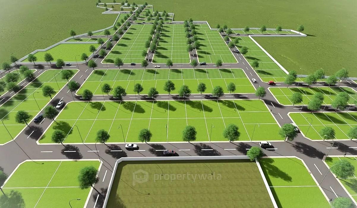Plot View