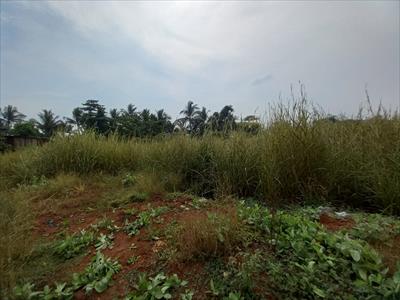 Residential Land for sale in Chirle, Navi Mumbai