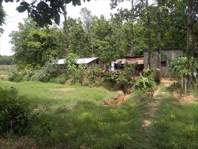Commercial Land for sale in Sonamukhi, Bankura
