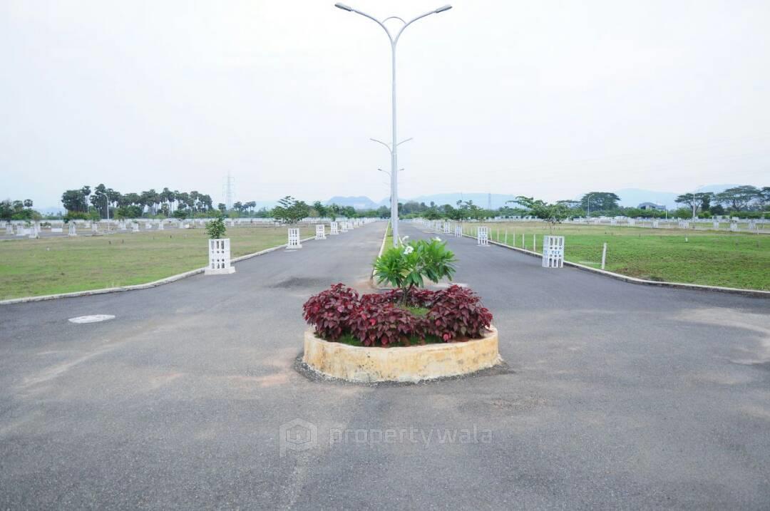 Layout Photos