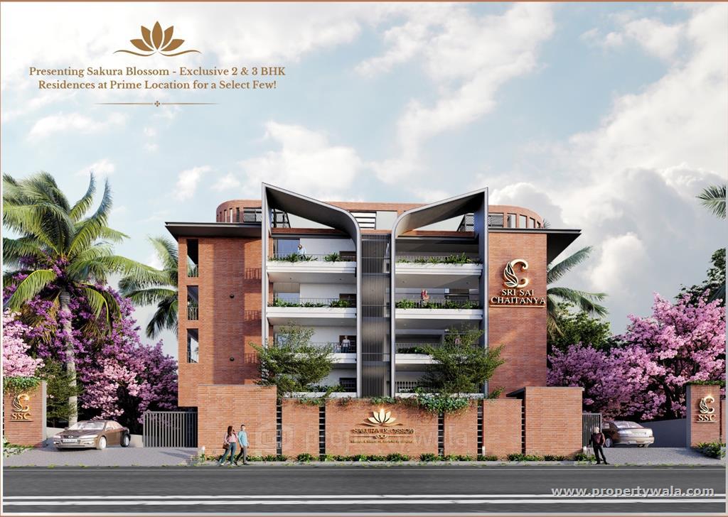 Project - Front View
