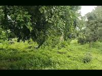 Agricultural Plot / Land for sale in Bhatewar Lake, Udaipur