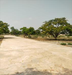 Residential Land for sale in Nayagaon, Dehradun