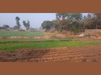 Agricultural Plot / Land for sale in Sohna, Gurgaon
