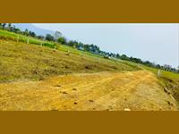 Agricultural Plot / Land for sale in Chodavaram, Visakhapatnam