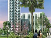 3 Bedroom Flat for sale in DLF The Primus, Sector-82, Gurgaon