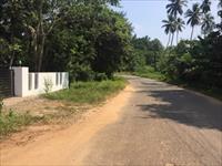 96 Cent Land for sales Muthuthala, Pattambi (suitable for commercial)