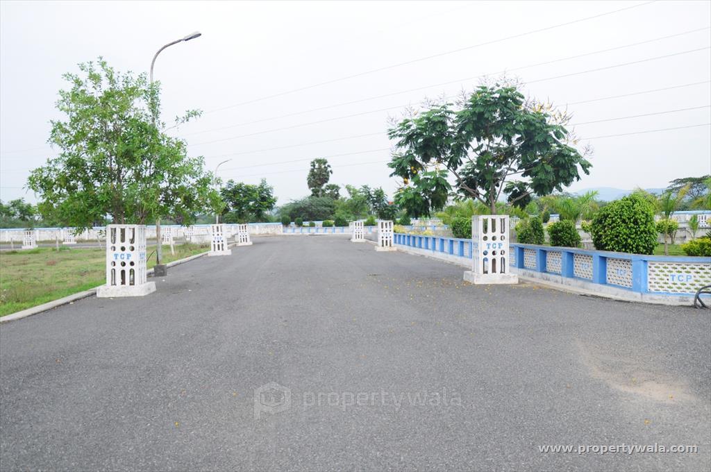Layout Photos