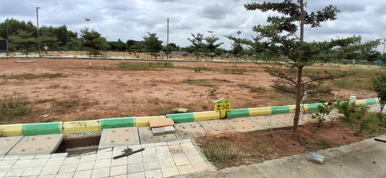 Plot View