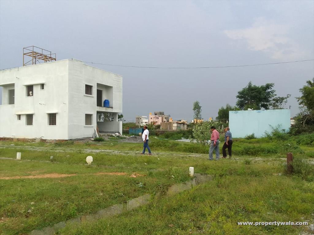 Project - Front View