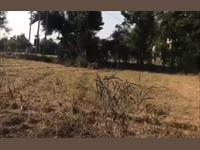 Agricultural Plot / Land for sale in Debari, Udaipur