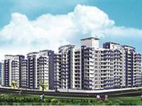 NG Suncity Phase III