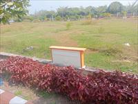 Residential Plot / Land for sale in Kothavalasa, Visakhapatnam