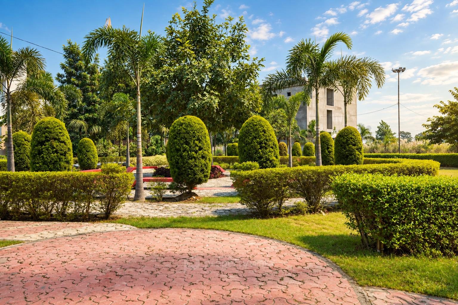 Garden