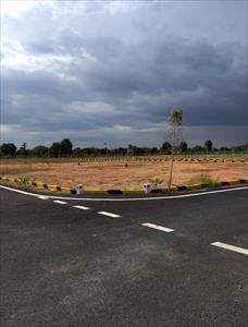 Residential Land for sale in Tottanuthu, Dindigul