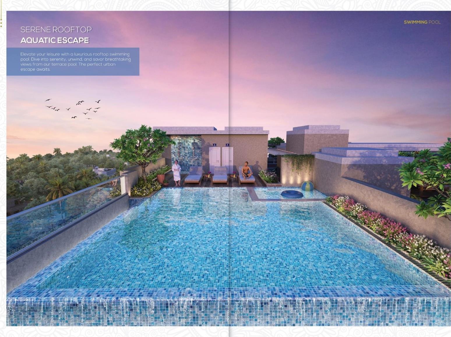 Project - Swimming Pool