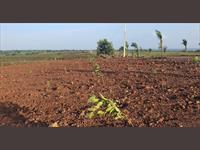 Agricultural Plot / Land for sale in Narayankhed, Medak