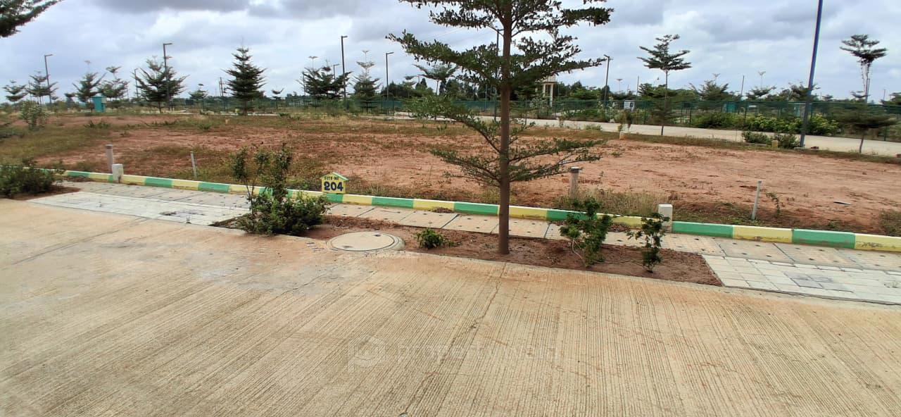 Plot View