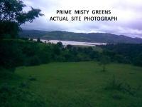 Prime Misty Greens
