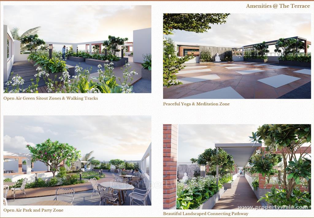 Project - Terrace