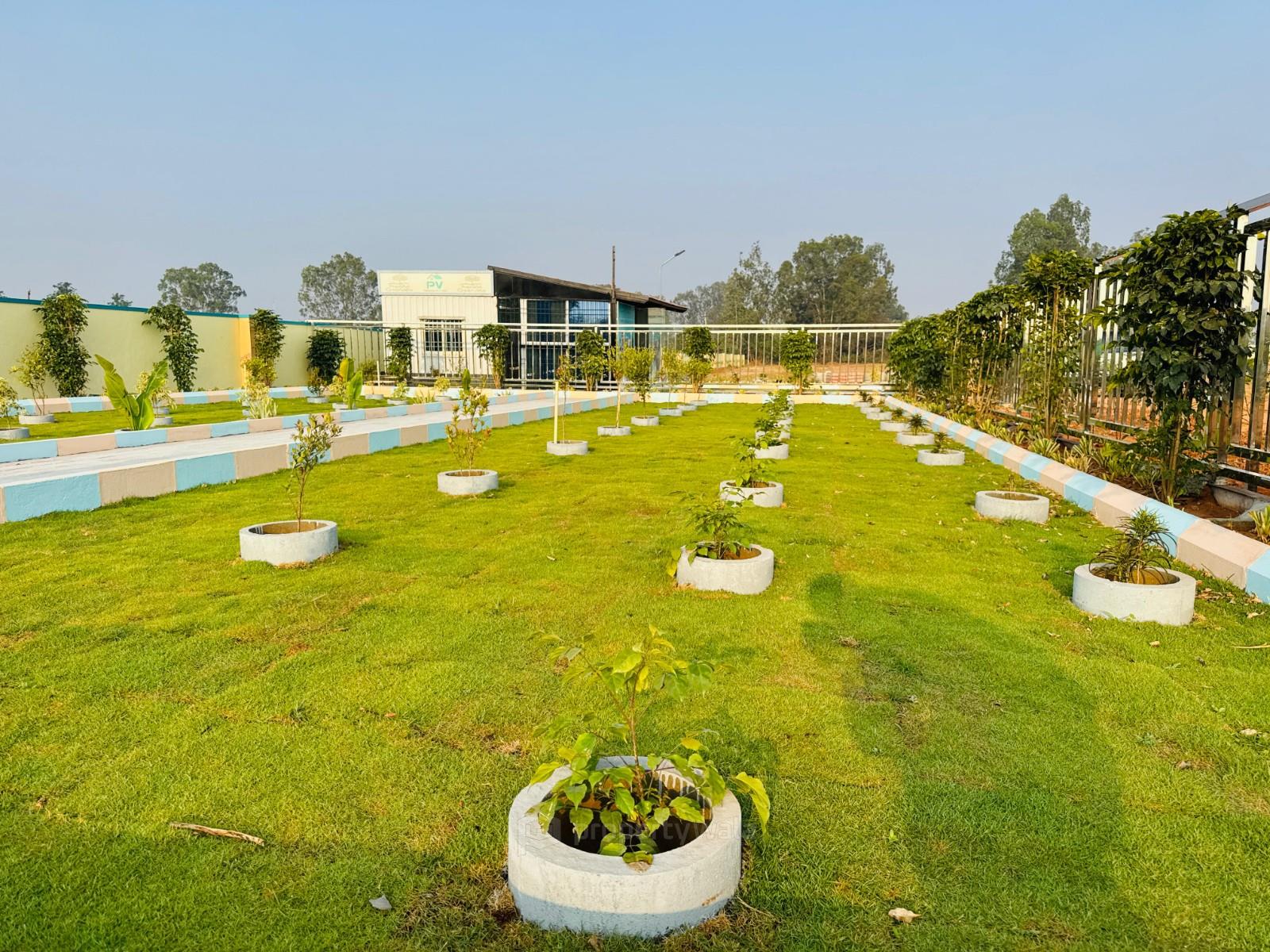 Park