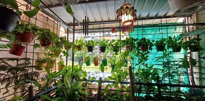 2 Bedroom Apartment for sale in Hadapsar, Pune