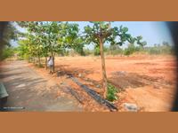 Beautiful peice of land for sale near chavadi