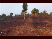 Sea View Land for Sale In Shriwardhan