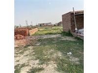 Residential Plot / Land for sale in Tikawali Village, Faridabad