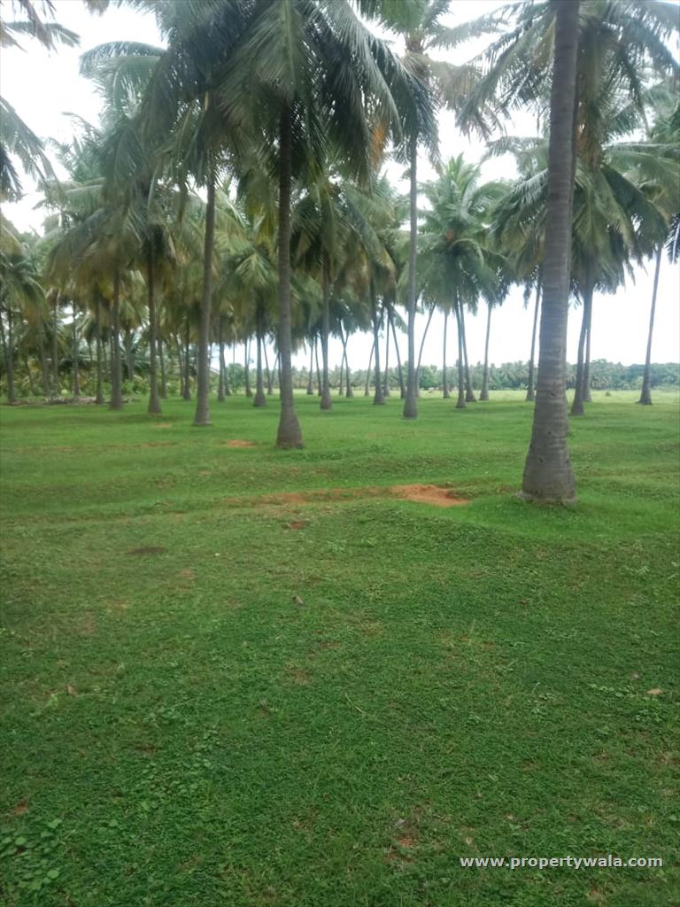 farm
