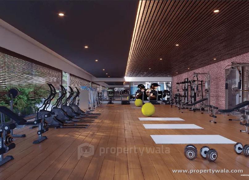 Gymnasium