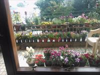4 Bedroom Apartment / Flat for rent in Maharani Bagh, New Delhi