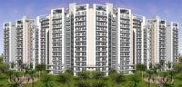 3 Bedroom Flat for sale in Bestech Park View Ananda, Sector-81, Gurgaon