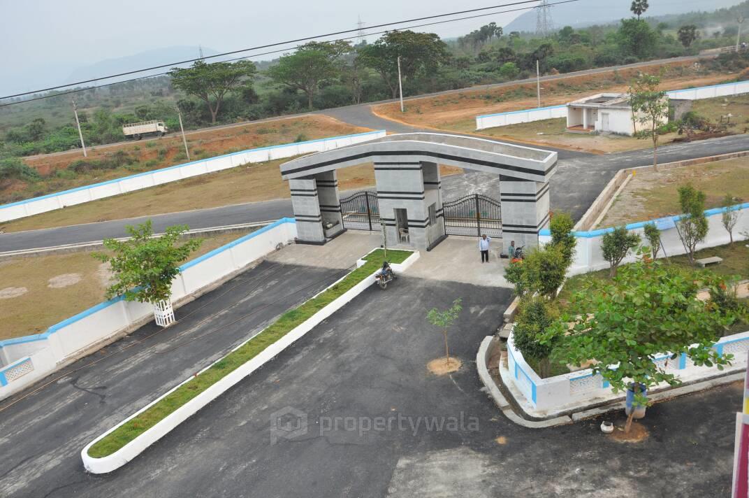 Layout Photos