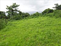 Agricultural Plot / Land for sale in Mhasala, Raigad