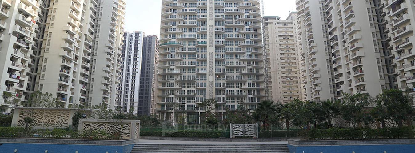 Elevation