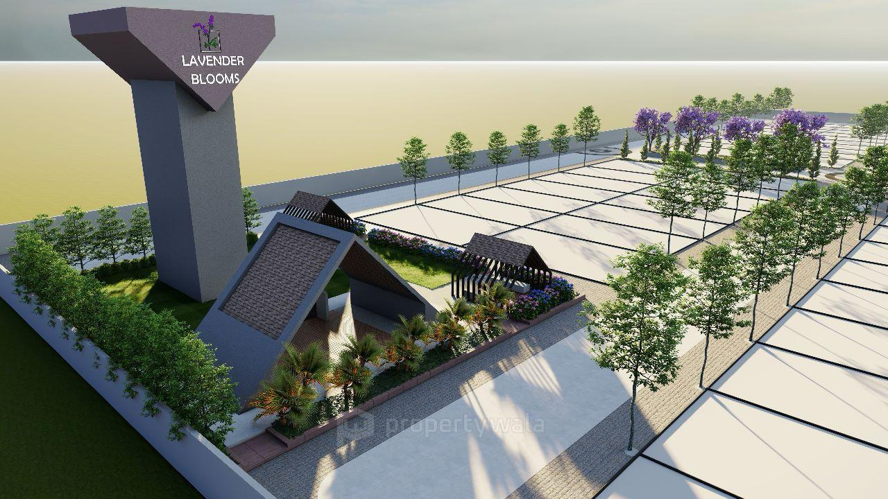 Project - Plot View