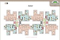 Aster-Floor Plan