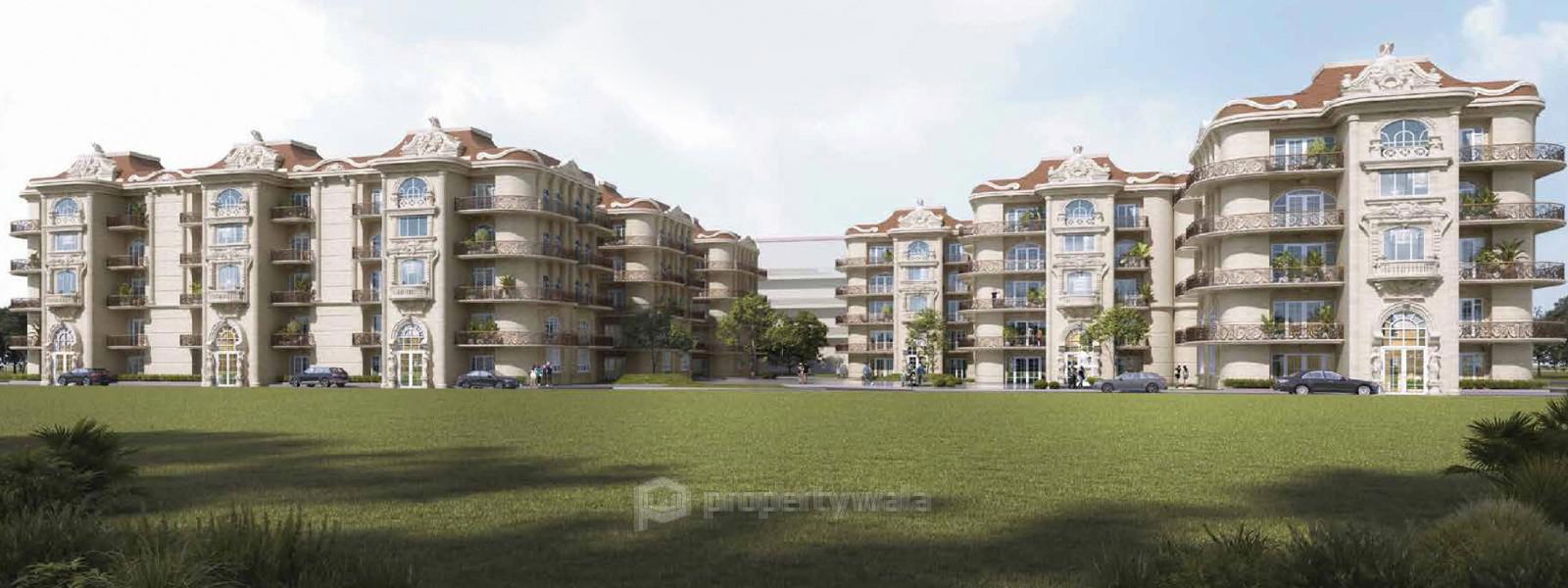 Project - Front View