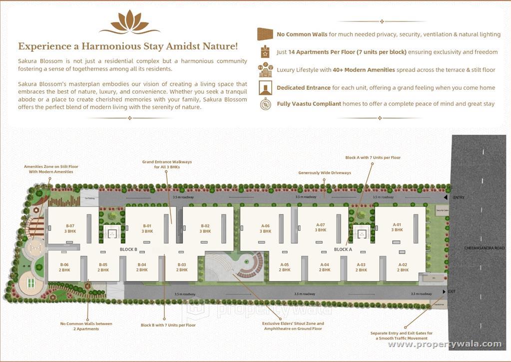Project - Master Plan