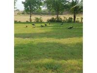 Industrial Land for sale in Kuha, Ahmedabad